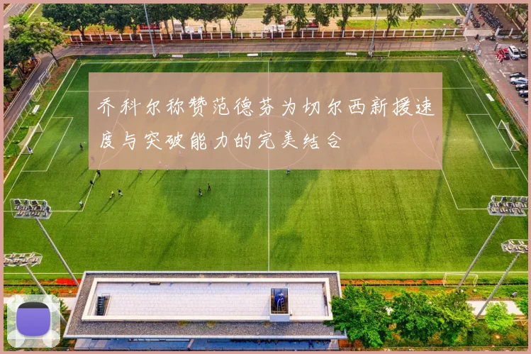 乔科尔称赞范德芬为切尔西新援速度与突破能力的完美结合